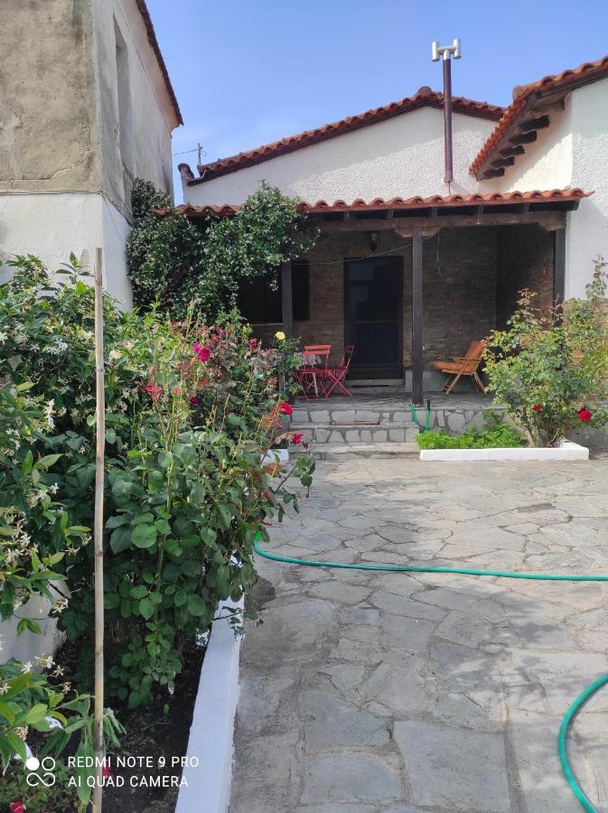 Detached House In Sykia Villa Buitenkant foto